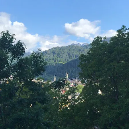 Guest house Edelweiss Alp